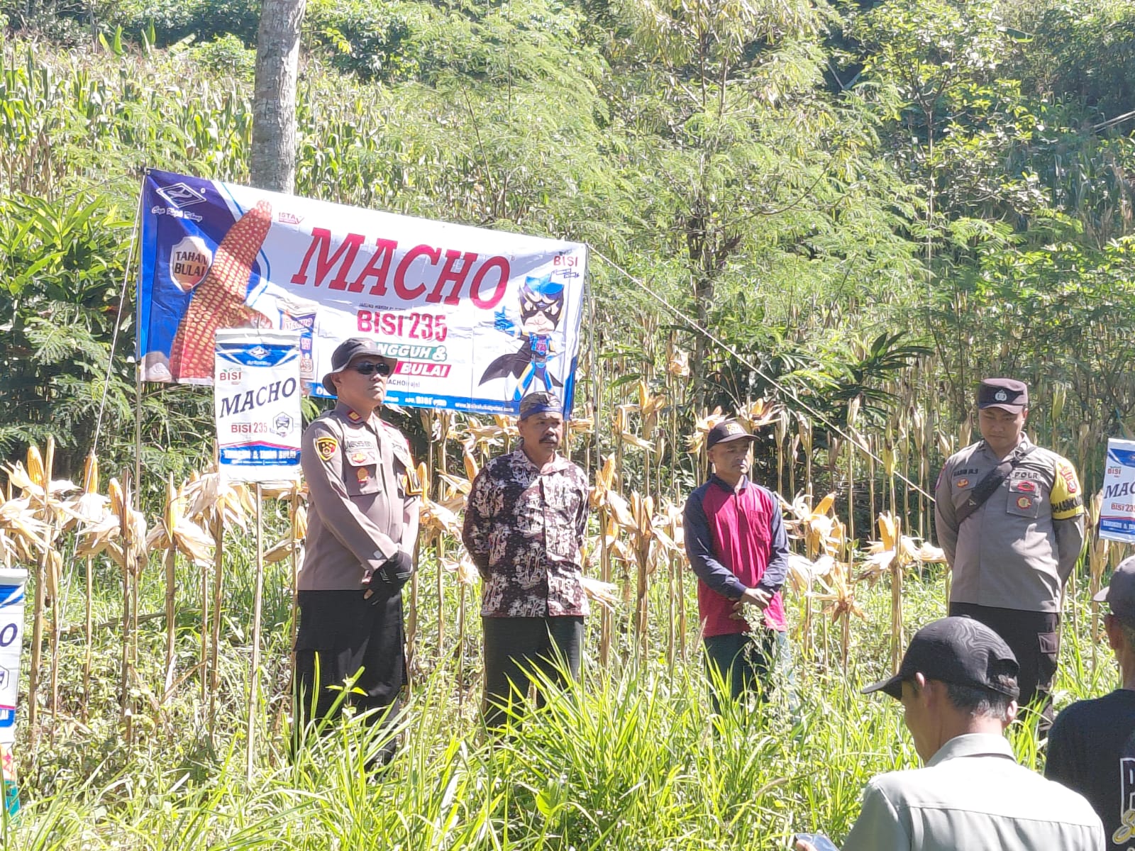 Polres Pacitan Genjot Produktivitas Jagung di Bandar, Dampingi Petani dan Evaluasi Kualitas Benih